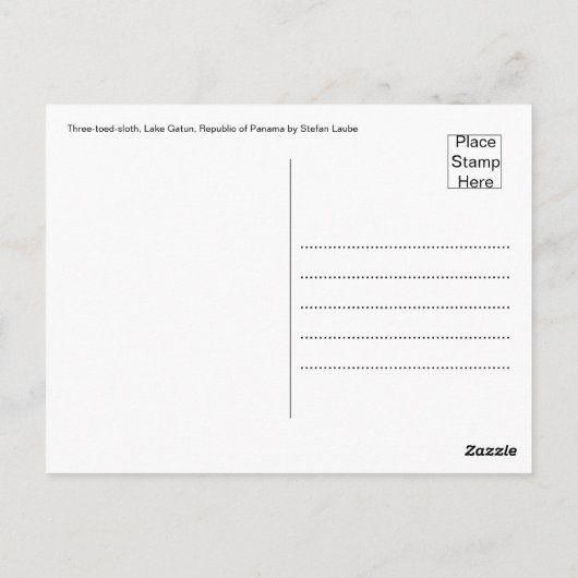 穏やかな樹上性の優雅さ ポストカード (裏面)