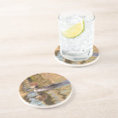 穏やかな水の中を泳ぐメガネガモ コースター (側面)