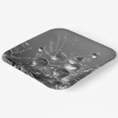 穏やかな水滴プレート ペーパープレート (傾斜あり)