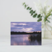 穏やかな水面 ポストカード (スタンド正面)