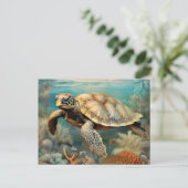 穏やかな海岸から亀を降ろす ポストカード (スタンド正面)