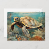 穏やかな海岸から亀を降ろす ポストカード (正面/裏面)