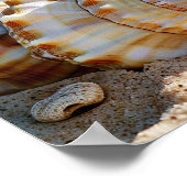 穏やかな海岸：海の海 ポスター (角)