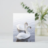 穏やかな湖で泳ぐ2羽の白鳥 ポストカード (スタンド正面)