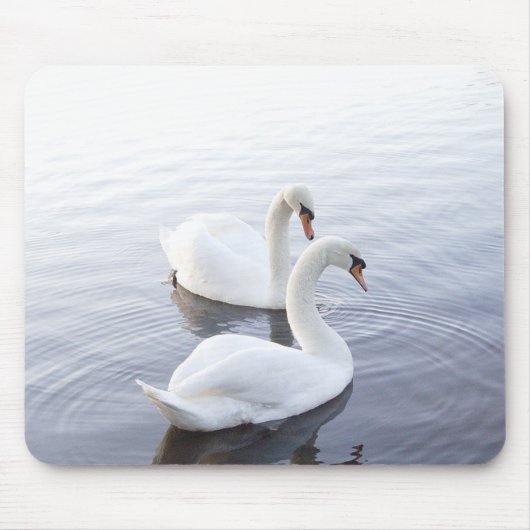 穏やかな湖で泳ぐ2羽の白鳥 マウスパッド (正面)