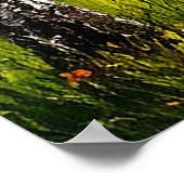 穏やかな湖の景色 ポスター (角)