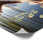 穏やかな湿地帯に優雅なアメリカの白いペリカン ポスター (角)