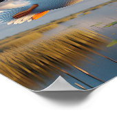 穏やかな湿地帯に優雅なアメリカの白いペリカン ポスター (角)