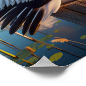 穏やかな湿地帯に優雅なアメリカの白いペリカン ポスター (角)