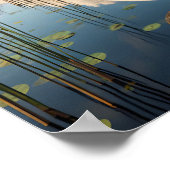 穏やかな湿地帯に優雅なアメリカの白いペリカン ポスター (角)