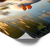 穏やかな湿地帯に優雅なアメリカの白いペリカン ポスター (角)