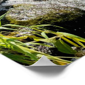 穏やかな滝のシーン穏やかな自然美しい ポスター (角)