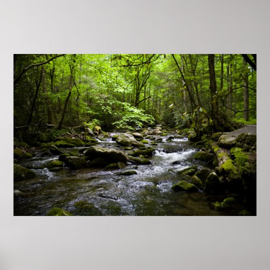 穏やかな煙を上げる渓流 ポスター (正面)