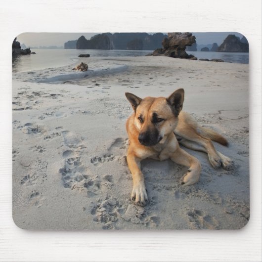 穏やかな犬のビーチ マウスパッド (正面)