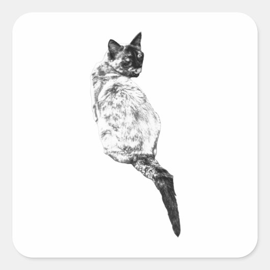 穏やかな猫のグルーミングデザイン スクエアシール (正面)