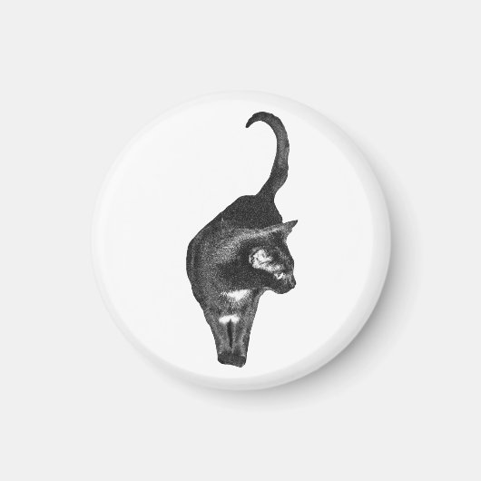 穏やかな猫のマグネット マグネット (正面)