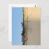 穏やかな瞬間の写真 ポストカード (正面/裏面)