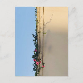 穏やかな瞬間の写真 ポストカード