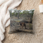 穏やかな瞬間：ビラボンでオーストラリアのカンガルー クッション (ブランケット)