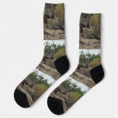 穏やかな瞬間:ビラボンでオーストラリアのカンガルー ソックス (左)