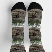 穏やかな瞬間:ビラボンでオーストラリアのカンガルー ソックス (上部)