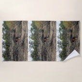 穏やかな瞬間：ビラボンでオーストラリアのカンガルー ビーチタオル (正面)