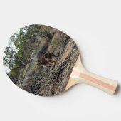 穏やかな瞬間：ビラボンでオーストラリアのカンガルー 卓球ラケット (横)