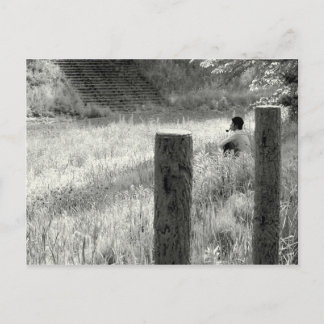 穏やかな瞬間 ポストカード