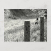 穏やかな瞬間 ポストカード (正面)