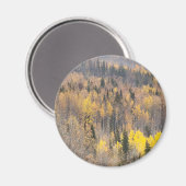 穏やかな秋の森マグネット マグネット (正面/裏面)