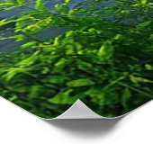 穏やかな稲妻に劇的に打ち勝つ ポスター (角)