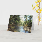 穏やかな美しい川 カード (黄色い花)