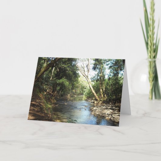 穏やかな美しい川 カード (正面)