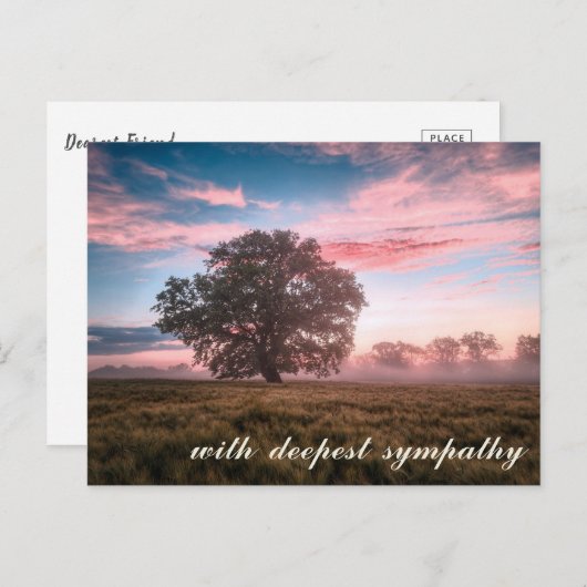 穏やかな自然の風景 ツリー 夕焼け 朝焼け 哀悼 ポストカード (正面/裏面)