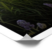 穏やかな自然景観シーン ポスター (角)