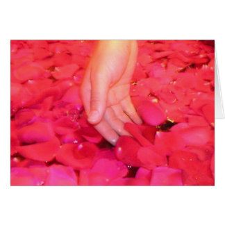 穏やかな花びらカード