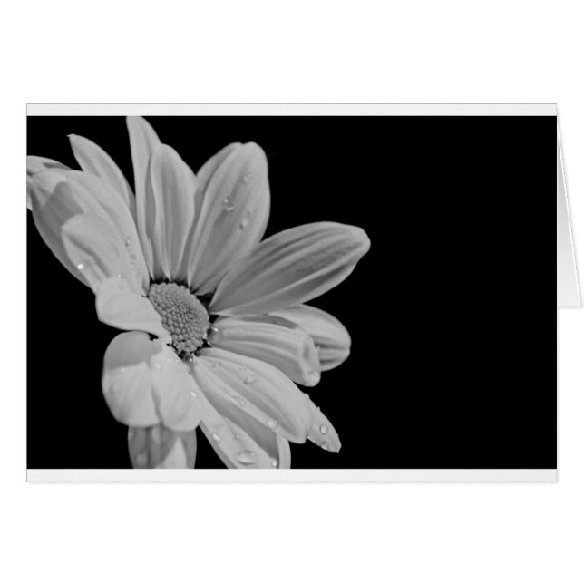 穏やかな花柄 (正面横)