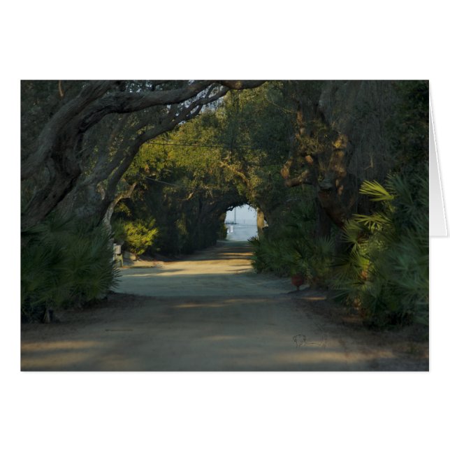 穏やかな道 (正面横)