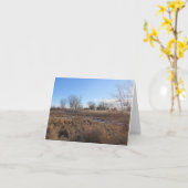 穏やかな青い空 – グリーティ空白のングカード カード (黄色い花)