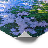 穏やかな青い谷 ポスター (角)