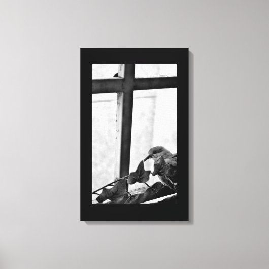 穏やかな鳩 キャンバスプリント (正面)