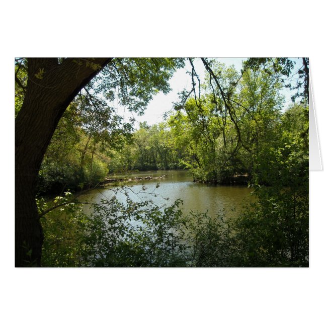 穏やかな (正面横)