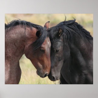 穏やかな ポスター