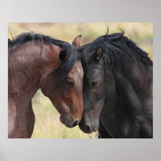 穏やかな ポスター (正面)