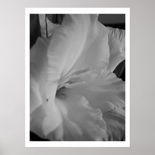 穏やかな ポスター (正面)