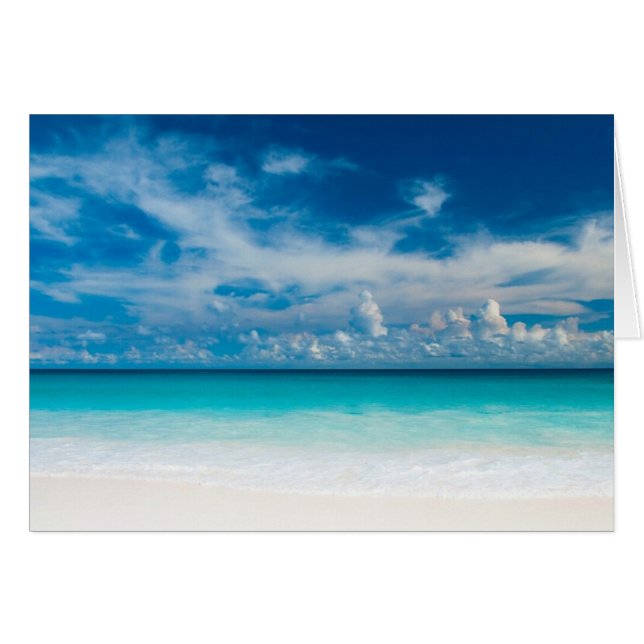 穏やかなTurqoise (正面横)