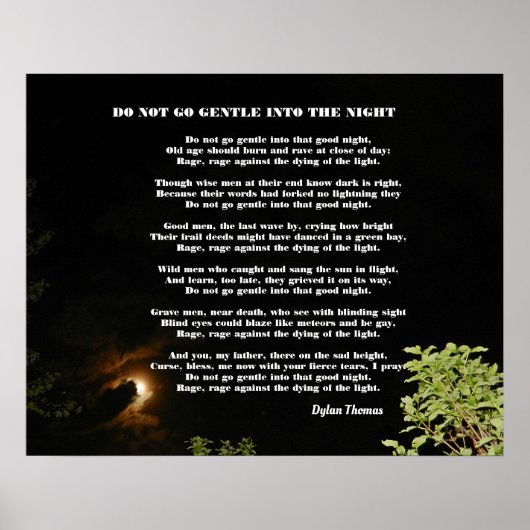 穏やかに夜を明かしてはいけない ポスター (正面)