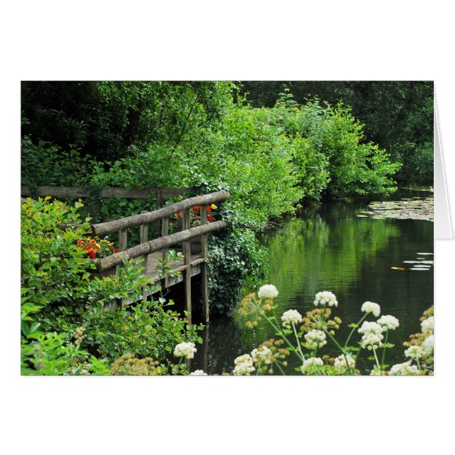 穏やか (正面横)