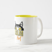 穏やか…ではない！ 猫の様々な気分を探求 ツートーンマグカップ (正面右)