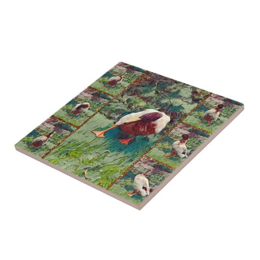 穴あきアヒル写真コラージュ、セラミックタイル タイル (側面)